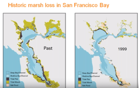 40+ Years of Wetland Restoration in the San Francisco Bay, Coastal Conservancy