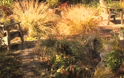 Building A Rain Garden in the Pacific Northwest, Washington State University Extension
