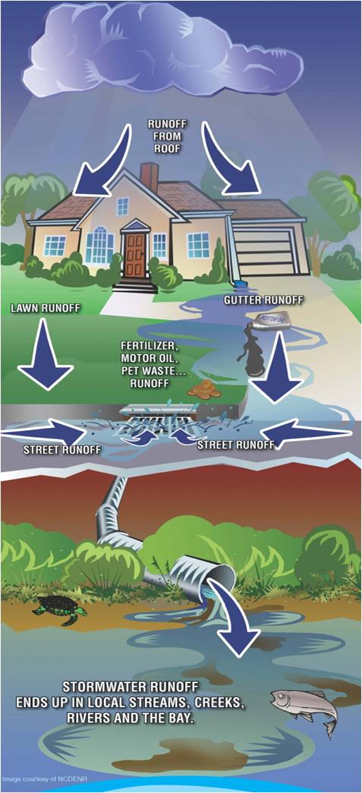 Water Runoff Infographic About Greening