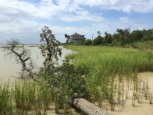 Coastal Erosion - Gulf Coast