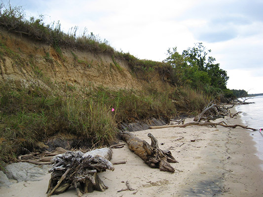 Northeast Mid-Atlantic Coastal Erosion